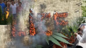 Warga Lice, Turki Alami Gangguan Kesehatan Usai Pembakaran 20 Ton Ganja Sitaan